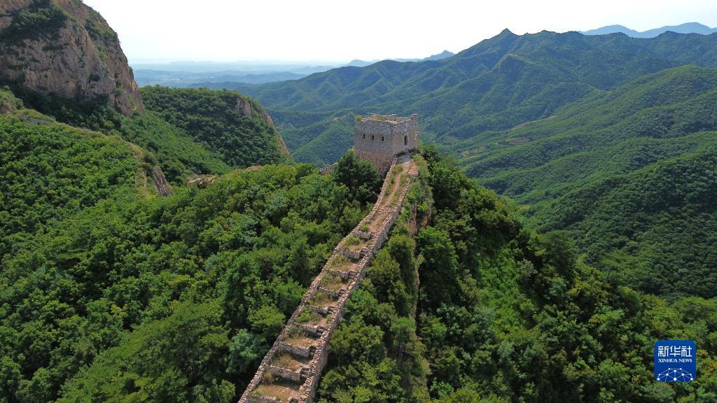希尔顿游戏的网址